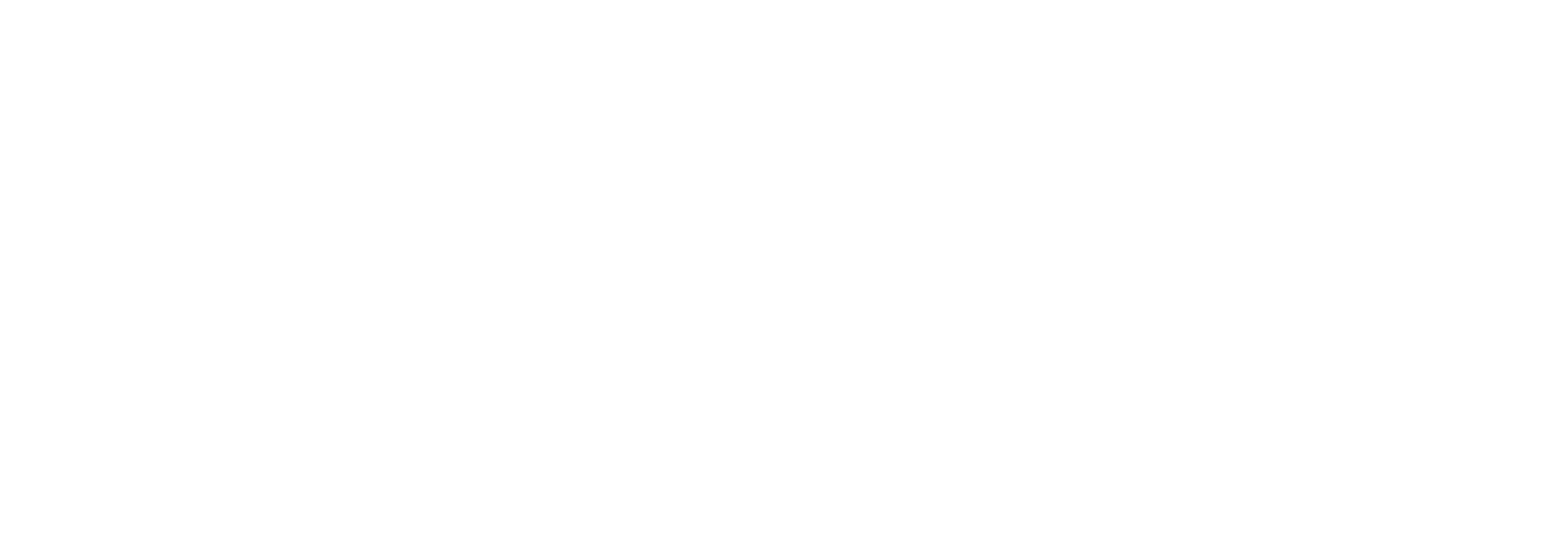 logo de website